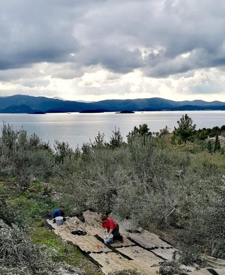 Apartmani Kremena Small Beach 200M Klek Exteriör bild