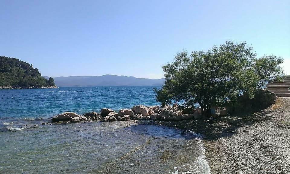 Apartmani Kremena Small Beach 200M Klek Exteriör bild
